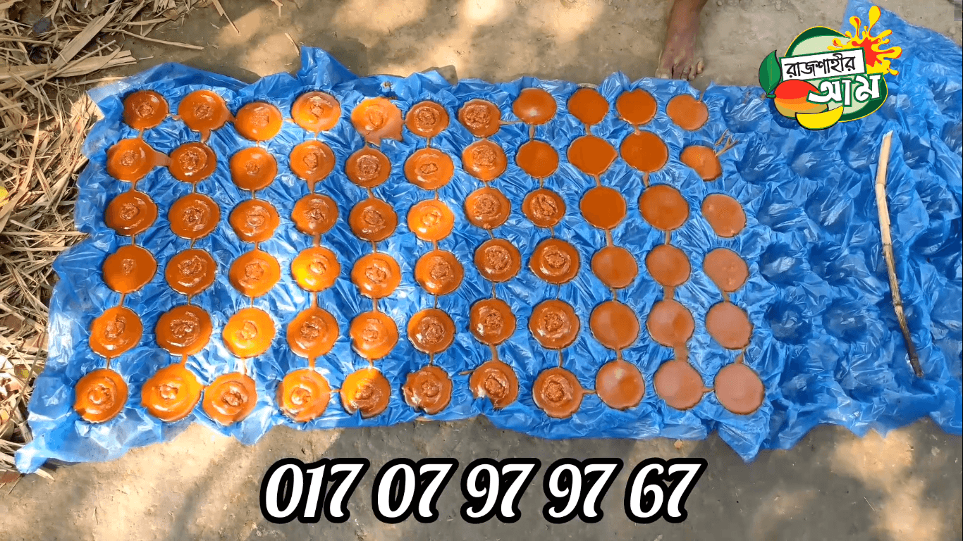 প্রিমিয়াম খেজুরের পাটালি গুড় (৩ কেজি )